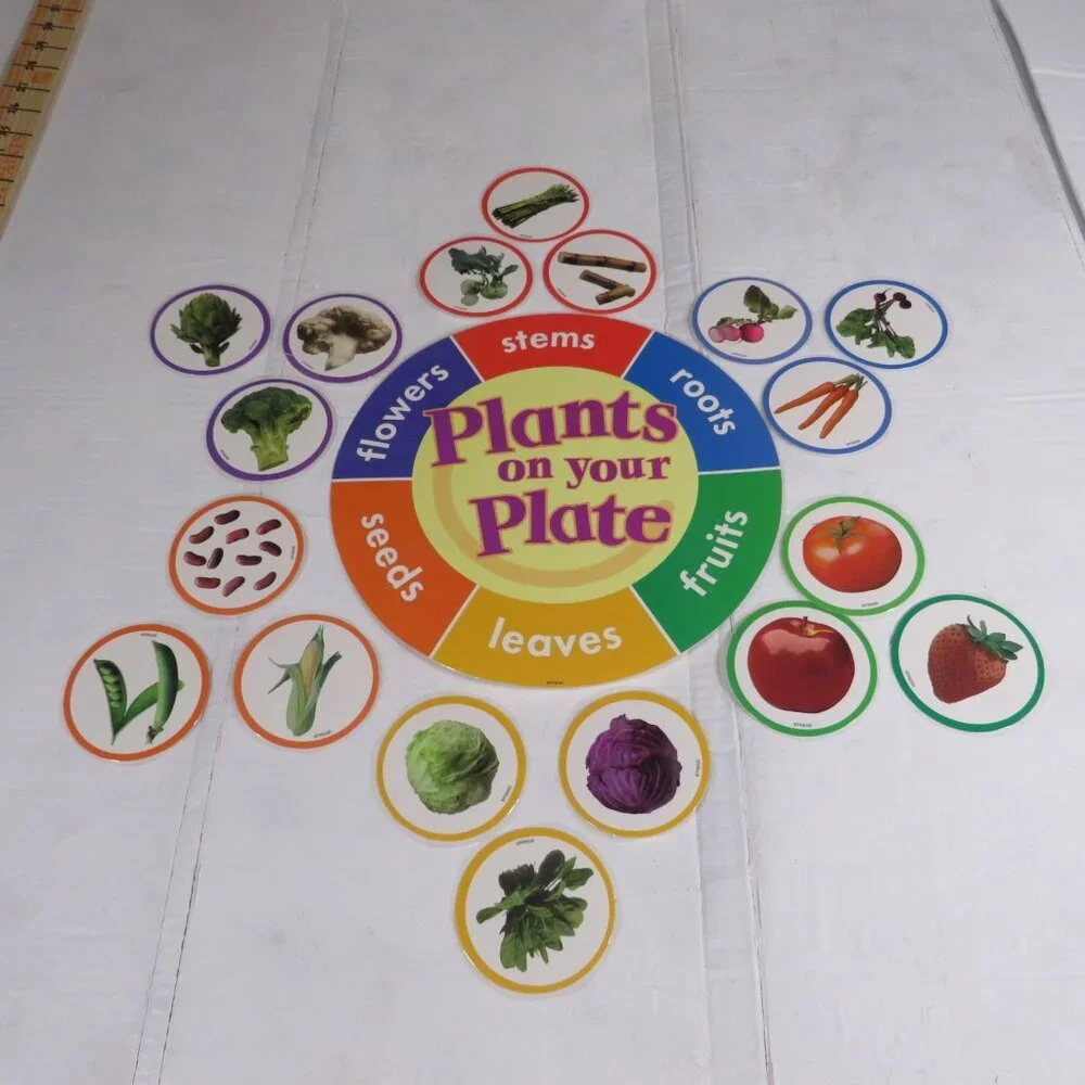 Plants on the Grow Extra Large BULLETIN BOARD SET LAMINATED Classroom Posters